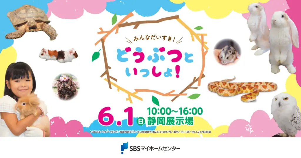 今週のマイホームセンターイベント🐰