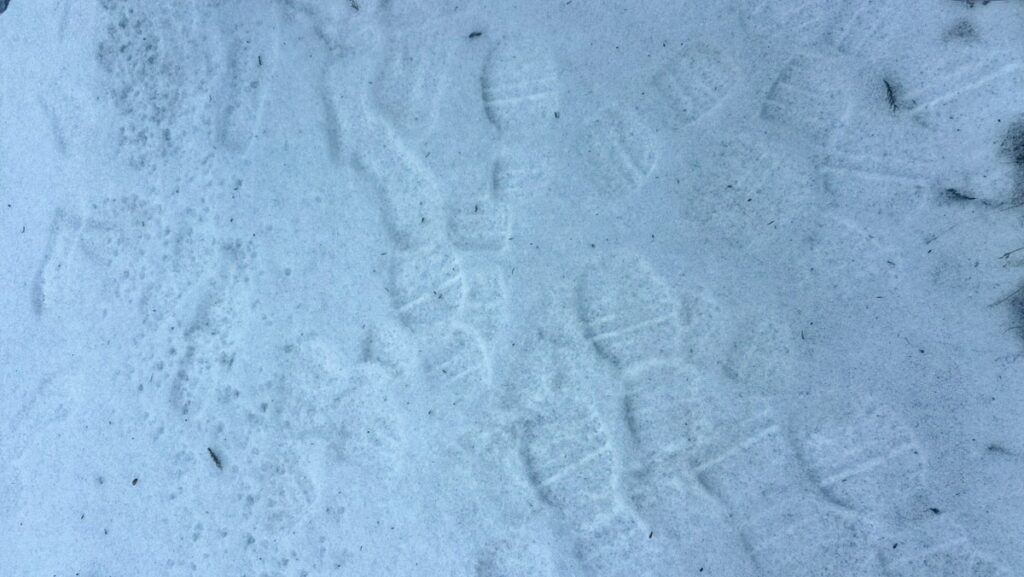 たぶん私は静岡市が好き。