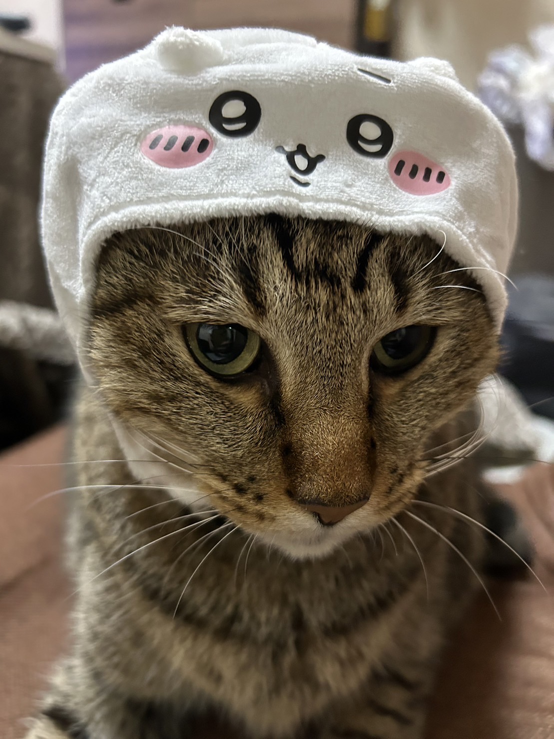 自分の平和な日常