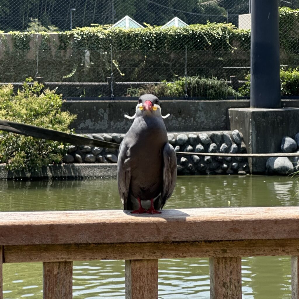人間って快適